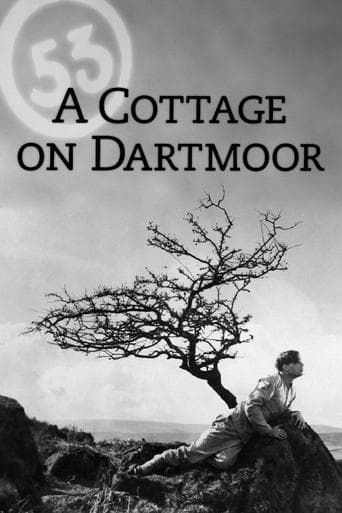 A Cottage on Dartmoor Poster