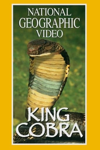 King Cobra Poster