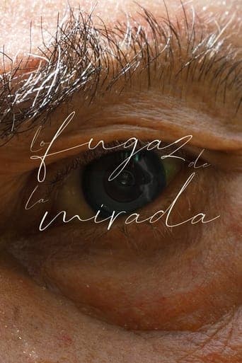 Lo fugaz de la mirada Poster