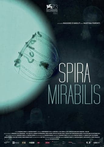 Miraculous Spiral Poster