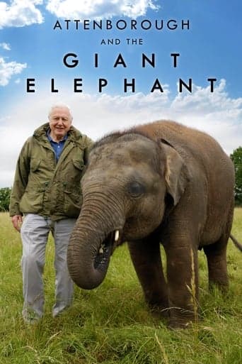 Attenborough and the Giant Elephant Poster