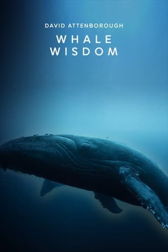 Whale Wisdom Poster