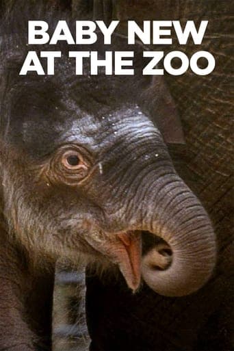 Baby New at the Zoo Poster