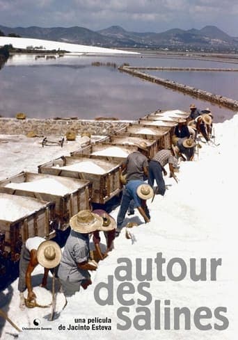 Autour des salines Poster