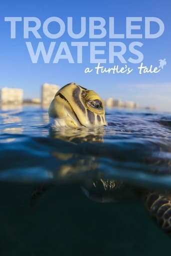 Troubled Waters: A Turtle's Tale Poster