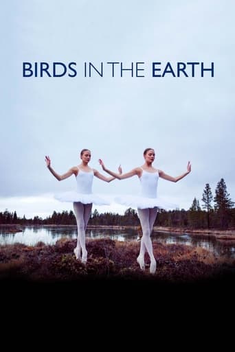 Birds in the Earth Poster