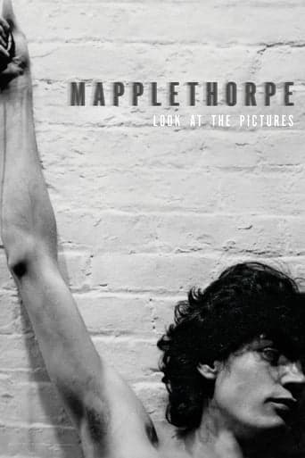 Mapplethorpe: Look at the Pictures Poster