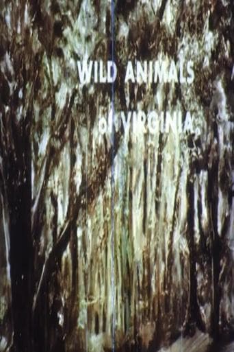 Wild Animals of Virginia Poster