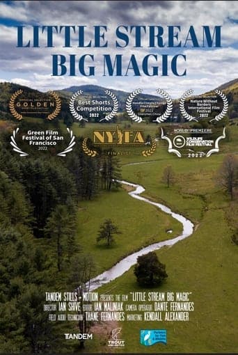 Little Stream, Big Magic Poster