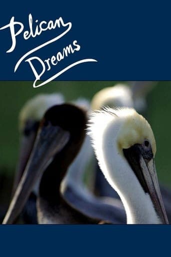 Pelican Dreams Poster