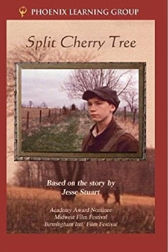 Split Cherry Tree Poster