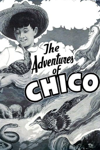 The Adventures of Chico Poster