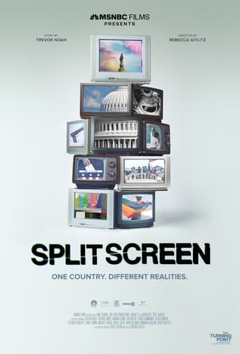 Split Screen Poster