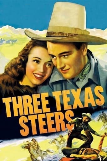 Three Texas Steers Poster