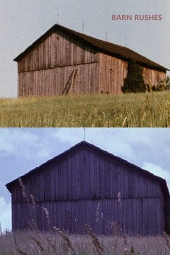 Barn Rushes Poster