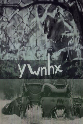 ywnhx Poster