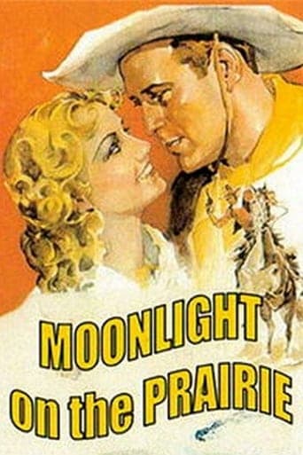 Moonlight on the Prairie Poster