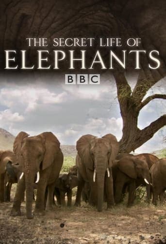 The Secret Life of Elephants Poster