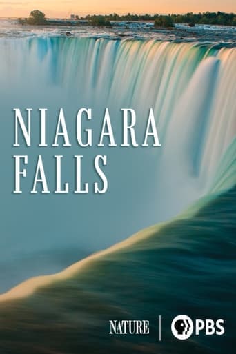 Niagara Falls Poster