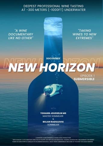 New Horizon Poster