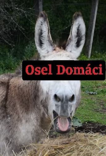 Osel domácí Poster