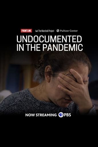 Undocumented in the Pandemic Poster