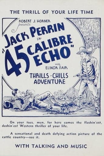 45 Calibre Echo Poster