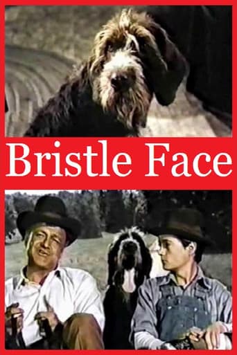 Bristle Face Poster