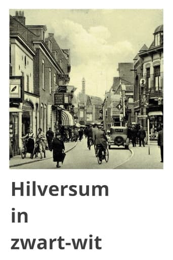 Hilversum in Black and White Poster