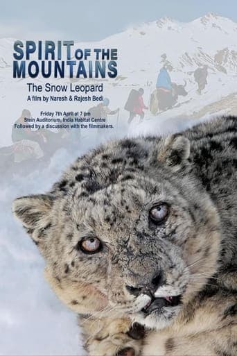 Spirit of the Mountains Poster