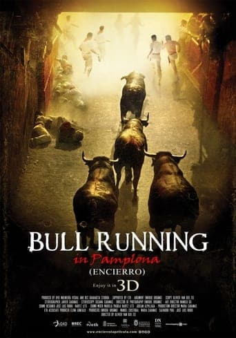 Encierro 3D: Bull Running in Pamplona Poster