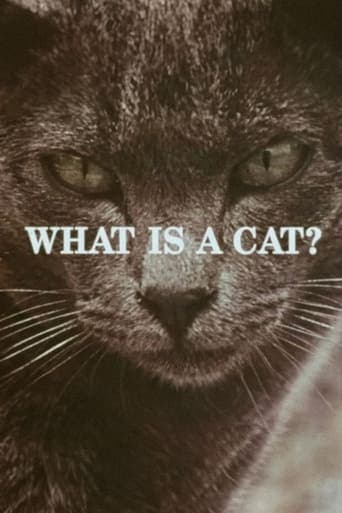 What Is a Cat? Poster