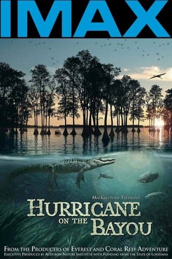 Hurricane on the Bayou Poster