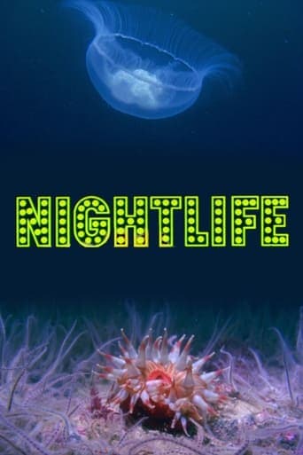 Nightlife Poster