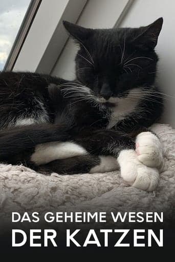 Das geheime Wesen der Katzen Poster