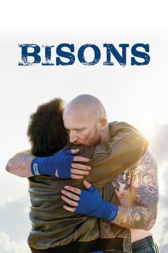 Bisons Poster