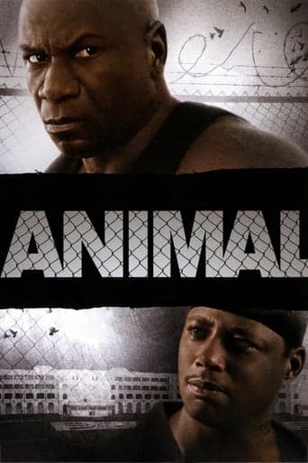 Animal Poster