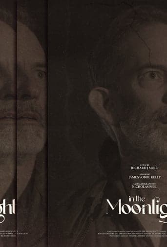 In The Moonlight Poster