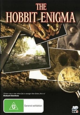 The Hobbit Enigma Poster