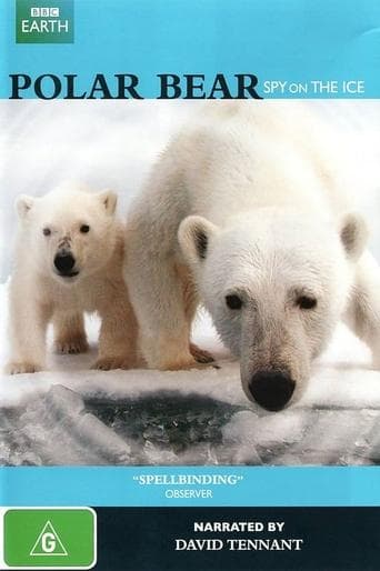 Polar Bear - Spy on the Ice Poster