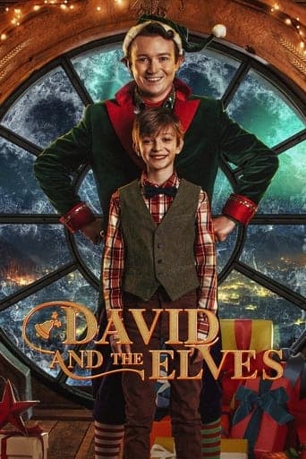 David and the Elves Poster