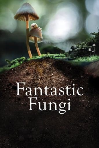 Fantastic Fungi Poster