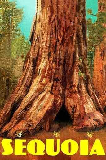 Sequoia Poster