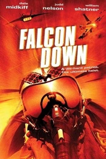 Falcon Down Poster