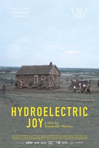 Hydroelectric Joy Poster