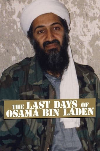 The Last Days of Osama Bin Laden Poster