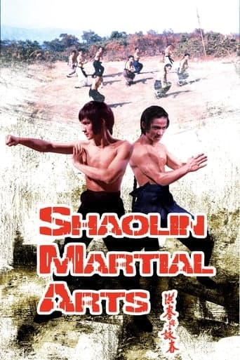 Shaolin Martial Arts Poster