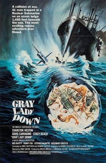 Gray Lady Down Poster