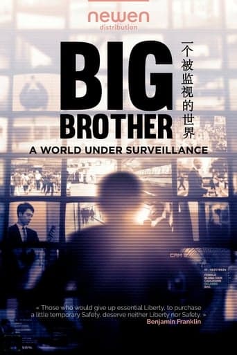 Big Brother: A World Under Surveillance Poster