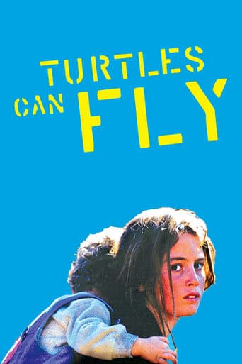 Turtles Can Fly Poster